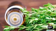 آشنایی با فواید و خواص آویشن و روغن آویشن
