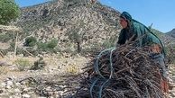 مستمری‌بگیران صندوق بیمه اجتماعی روستایی بسته جبرانی می‌گیرند