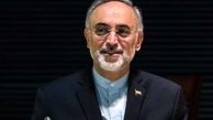 صالحی: امضاهای سند اراک تکمیل شد/ رفع تحریم ها و اجرای برجام به سرعت اقدامات ما بستگی دارد