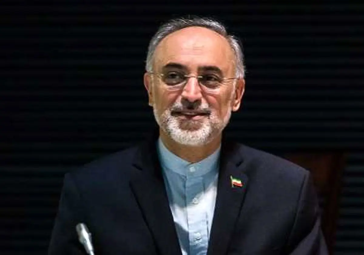صالحی: امضاهای سند اراک تکمیل شد/ رفع تحریم ها و اجرای برجام به سرعت اقدامات ما بستگی دارد