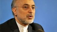 چرا برای فردو این همه حساسیت دارند؟/اقدامات غلطی که از صالحی سر زد