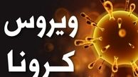سازمان ملل درباره قحطی در جهان هشدار داد

