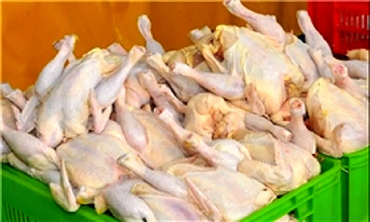 قیمت مرغ در میادین میوه و ترهبار ۶۱۰۰ تومان