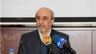 گودرزی:تمام تلاش ما حمایت از سرخابی‌هاست