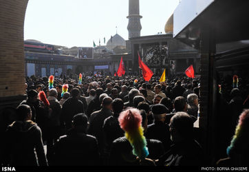 1418475435079_borna ghasemi-25