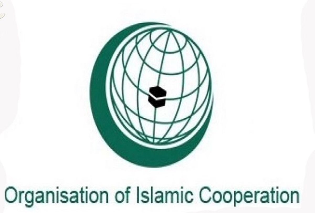 اتحادیه بین‌المجالس شانه به شانه سازمان ملل، بدون حق وتو