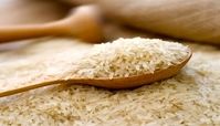 نظر قطعی سخنگوی دولت درباره ورود برنج تقلبی به کشور 