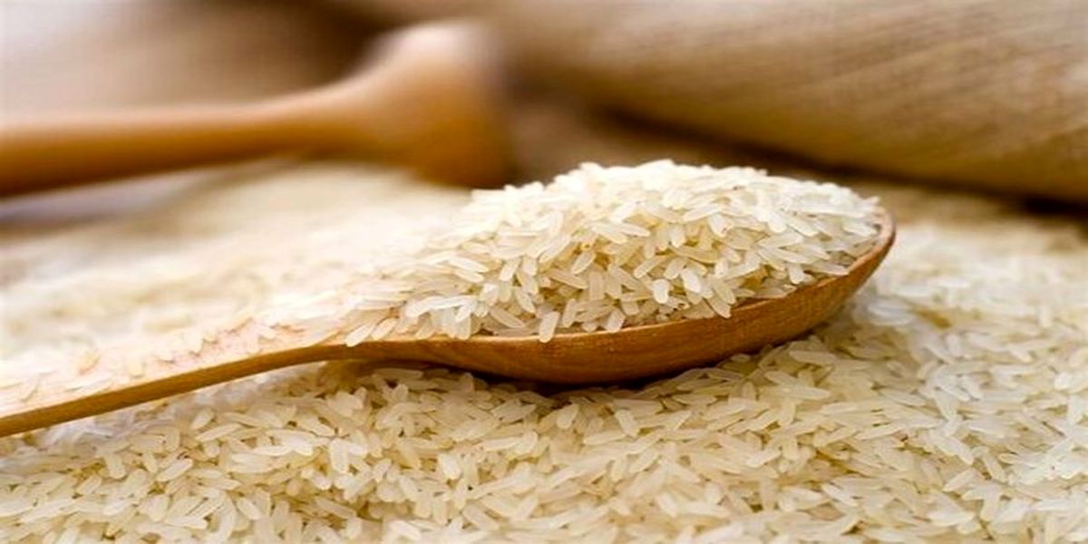نظر قطعی سخنگوی دولت درباره ورود برنج تقلبی به کشور 