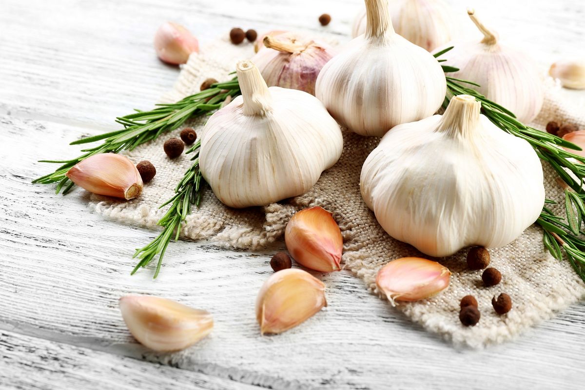 خوردن یک حبه سیر ناشتا چه فوایدی برای بدن شما دارد ؟