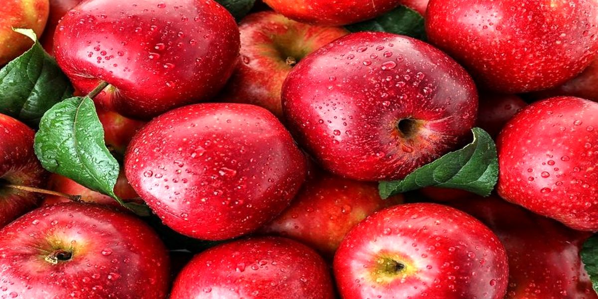 فواید بی نظیر سیب برای سلامتی و خواص منحصر به آن