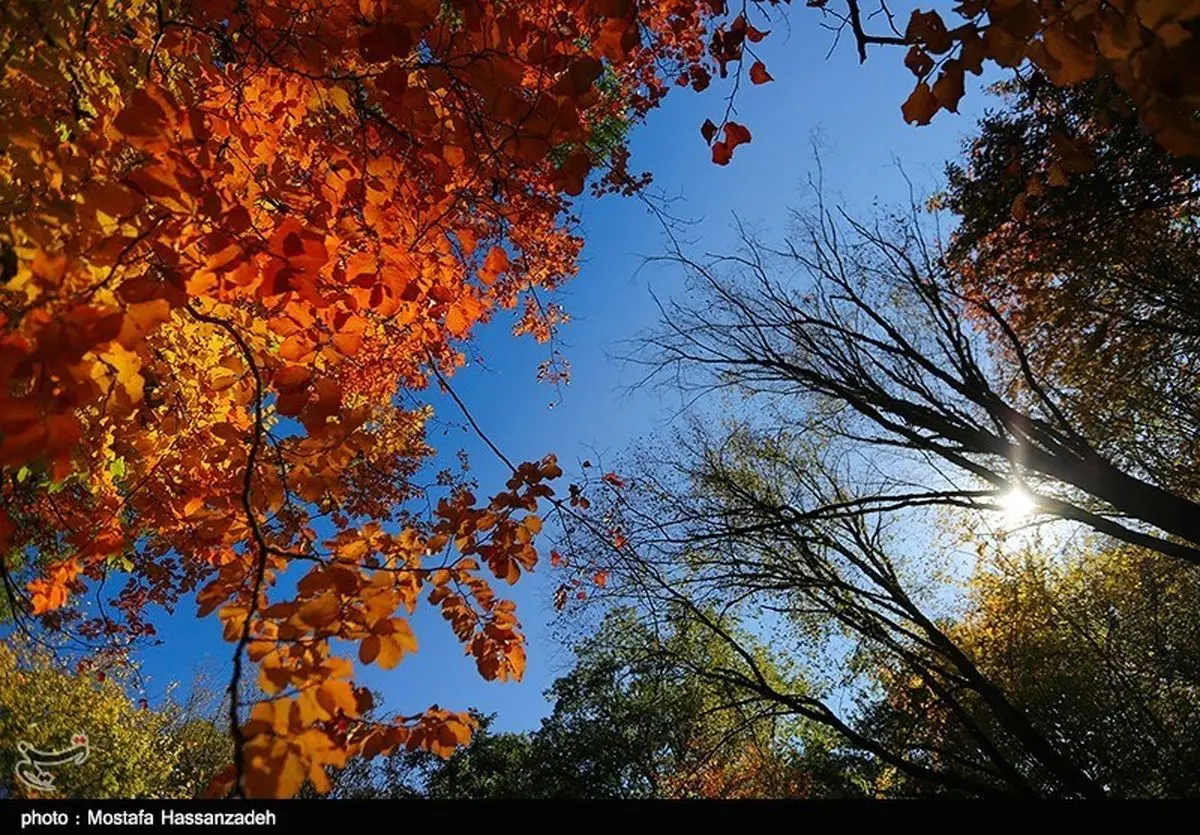  چه کنیم تا پاییز بهتری داشته باشیم؟ 