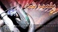 یک بیمارستان و یک مرکز جراحی تهران پلمب می‌شوند 