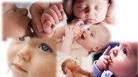 افزایش ۳ درصدی آمار ولادت در سال جاری