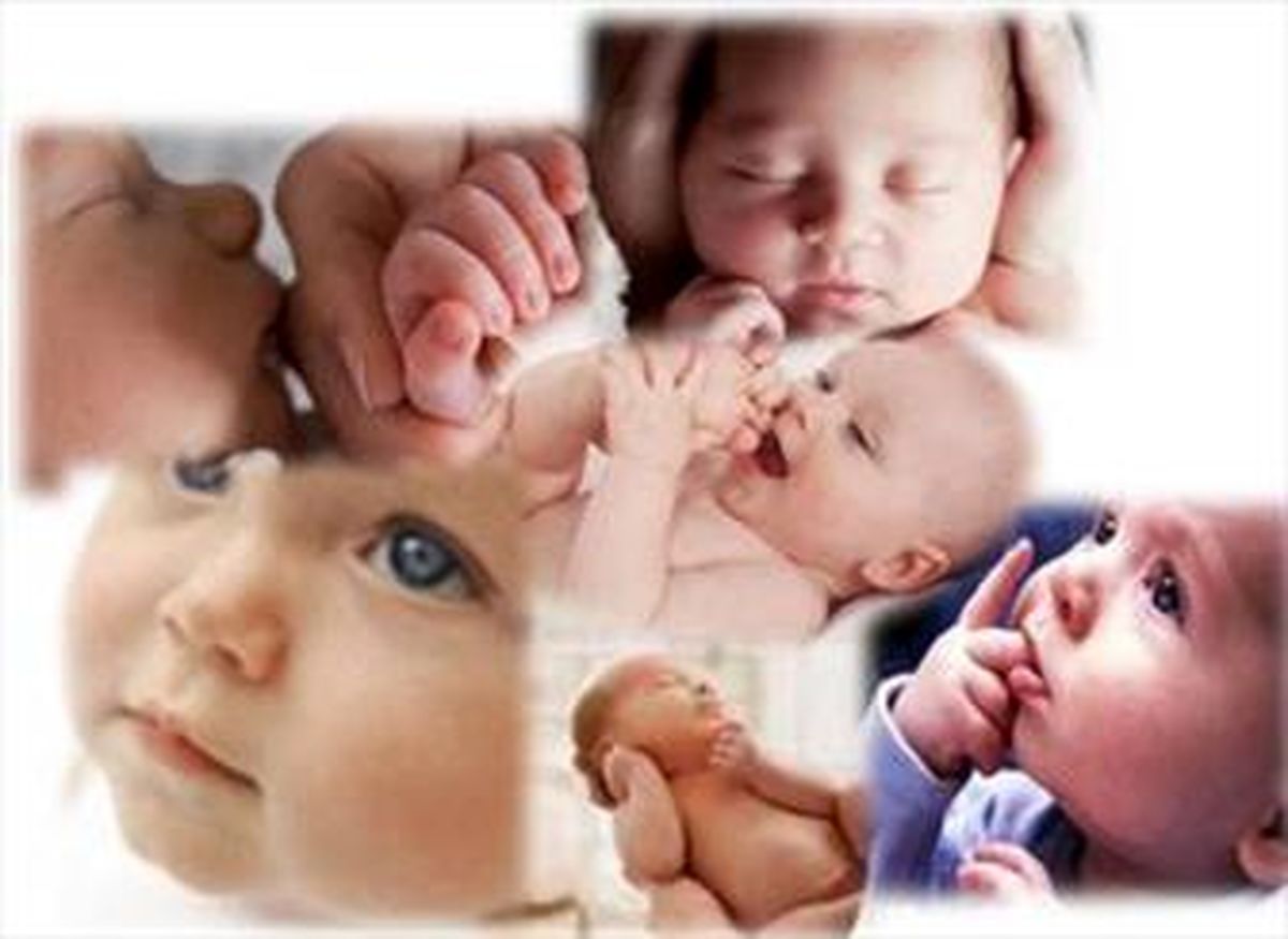 افزایش ۳ درصدی آمار ولادت در سال جاری