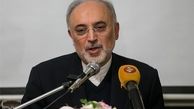 صالحی: غرب در لغو تحریم‌های بانکی تأخیر دارد