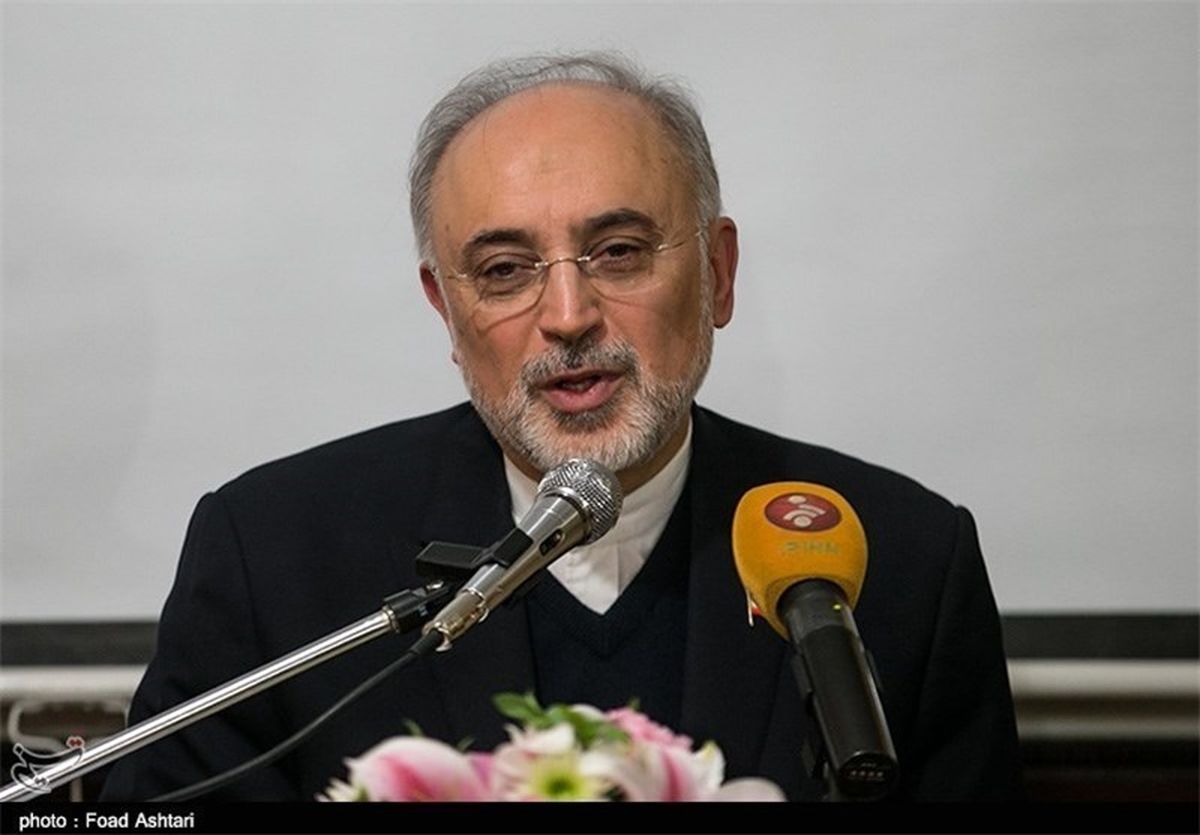 صالحی: غرب در لغو تحریم‌های بانکی تأخیر دارد