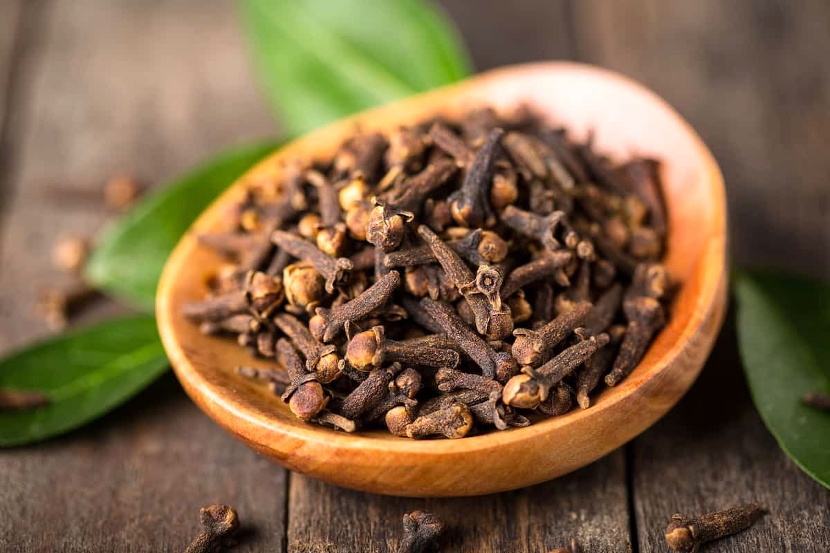 از فواید میخک چه می‌دانید ؟