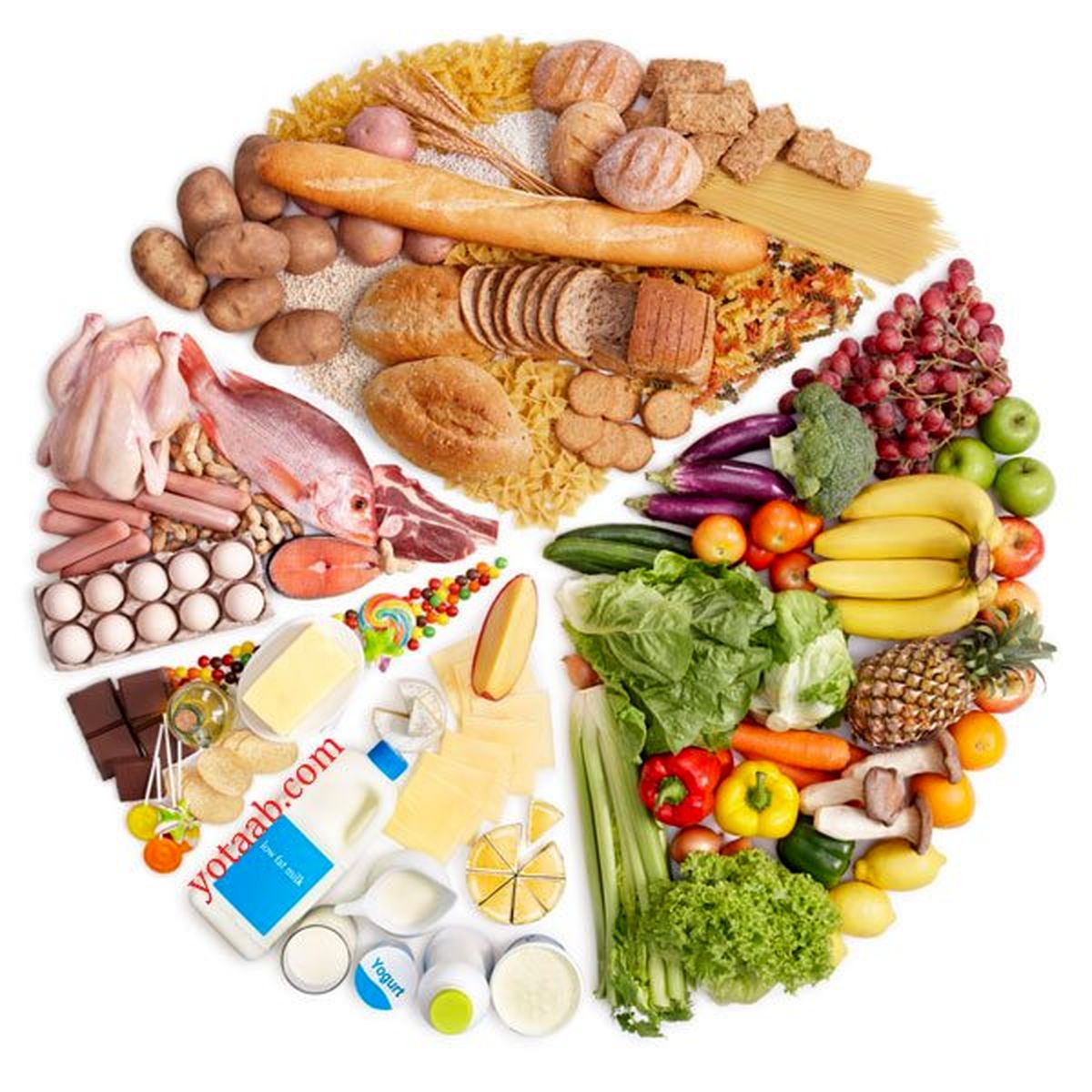5گروه اصلی مواد غذایی کدامند