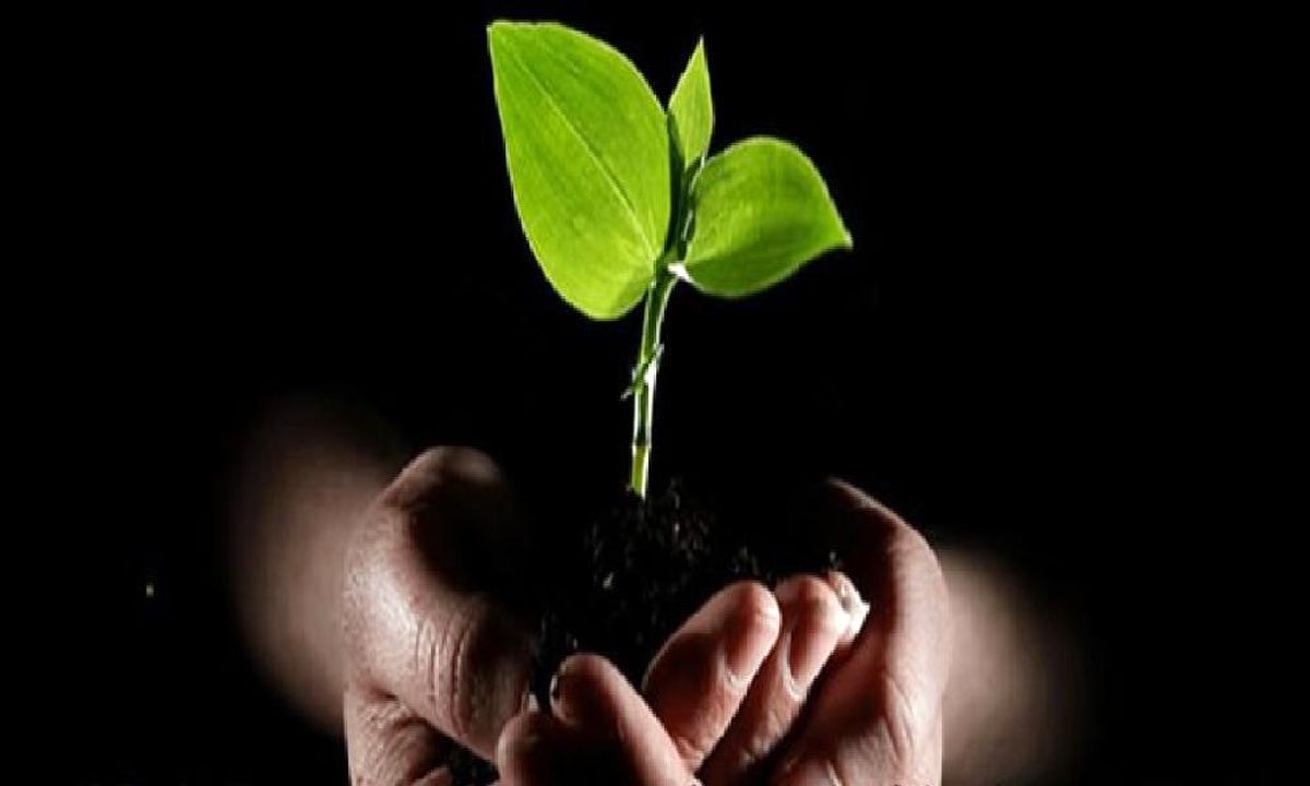 روند درمان اعتیاد به «گل» چگونه است؟