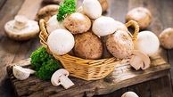 علائم اولیه مسمومیت ناشی از مصرف قارچ سمی 