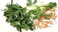  عوارض مصرف شنبلیله