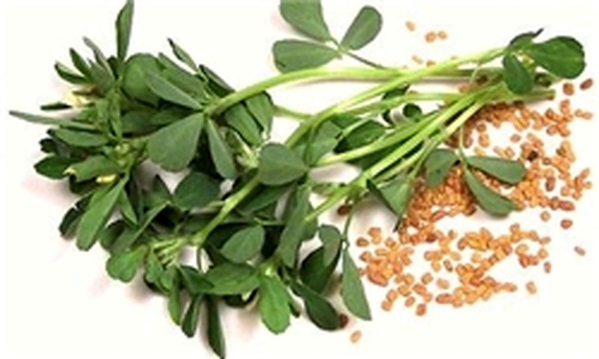  عوارض مصرف شنبلیله