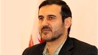 ضرورت اجماع فقهای قم و نجف با مفتیان الازهر برای تحریم سفک دماء مسلمانان