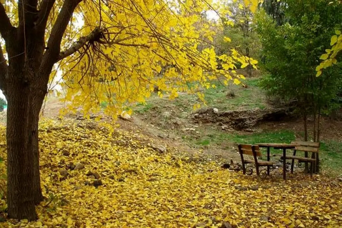 سفر به عاشقانه ترین جای دنیا + تصاویر