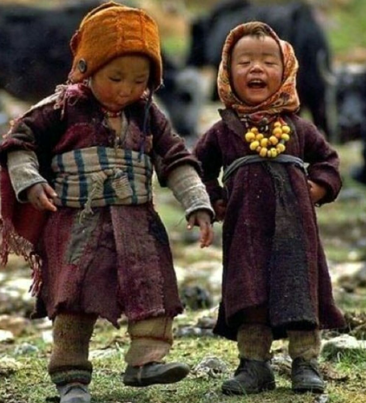آرزوی مرجانه گلچین برای حق انسان ها