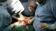 تاثير طرح تحول نظام سلامت در كاهش سزارين درکشور/ترويج زايمان بي‌درد