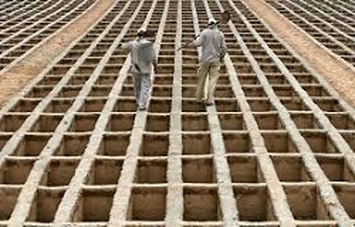 عارضه‌ای که رکورددار علت مرگ تهرانی‌ها است +جدول 