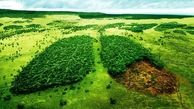 افزایش آگاهی برای رفع مشکلات محیط زیست