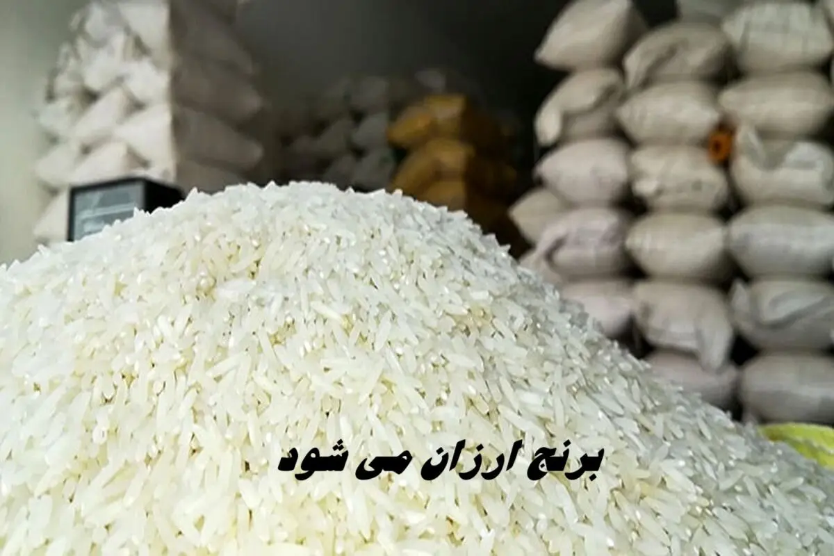 برنج ارزان می شود + اطلاعات بیشتر