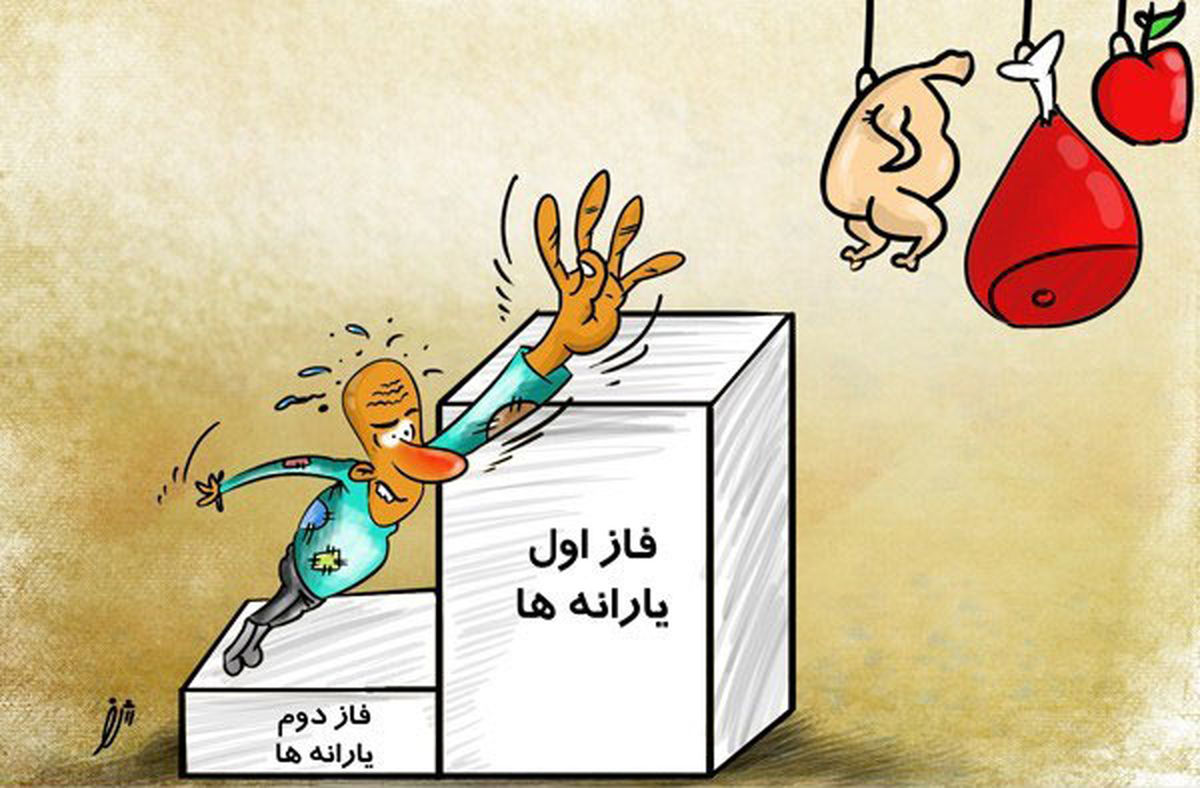 هدفمندی یا چالش بزرگ دولت یازدهم؟ !