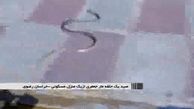  صید مار از یک منزل مسکونی روستایی در کاشمر/فیلم