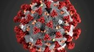 آخرین آمار جهانی کرونا