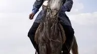 اسب سواری مجید مظفری + عکس