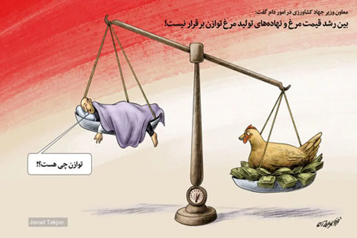 عدم توازن بین قیمت مرغ و نهادهها