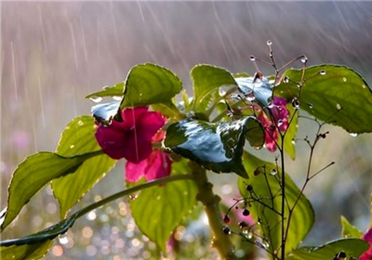 اولین بارندگی پاییزی در راه است