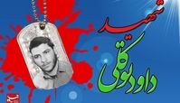 حکمت معنوی وصایای شهدا|گواه مظلومیت‌ما سرخی خونمان است