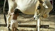 شیر خوردن کودک از منبع اصلی!