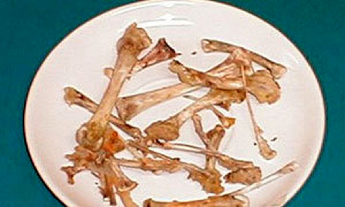 آیا اجنه از غذای ما می خورند؟