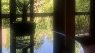 عکس هنری آنا نعمتی