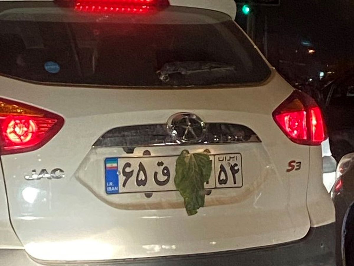 ترفند عجیب مسافران برای پوشاندن پلاک خودرو + عکس