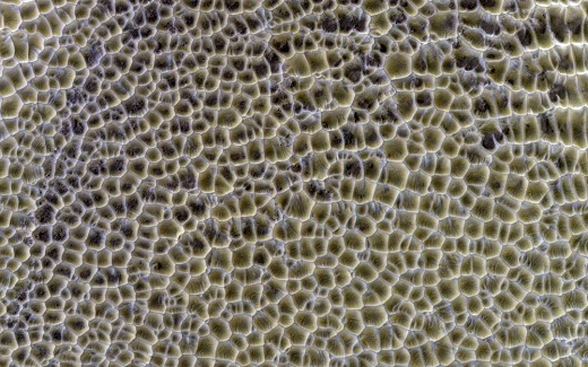 نمای نزدیک از پوست مریخ