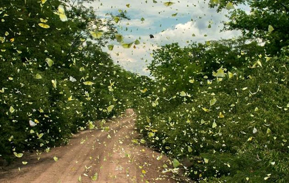 هیولای آسیب شناسی و آسیب بینی؛ تخریب شیوه های سالم حیات جمعی