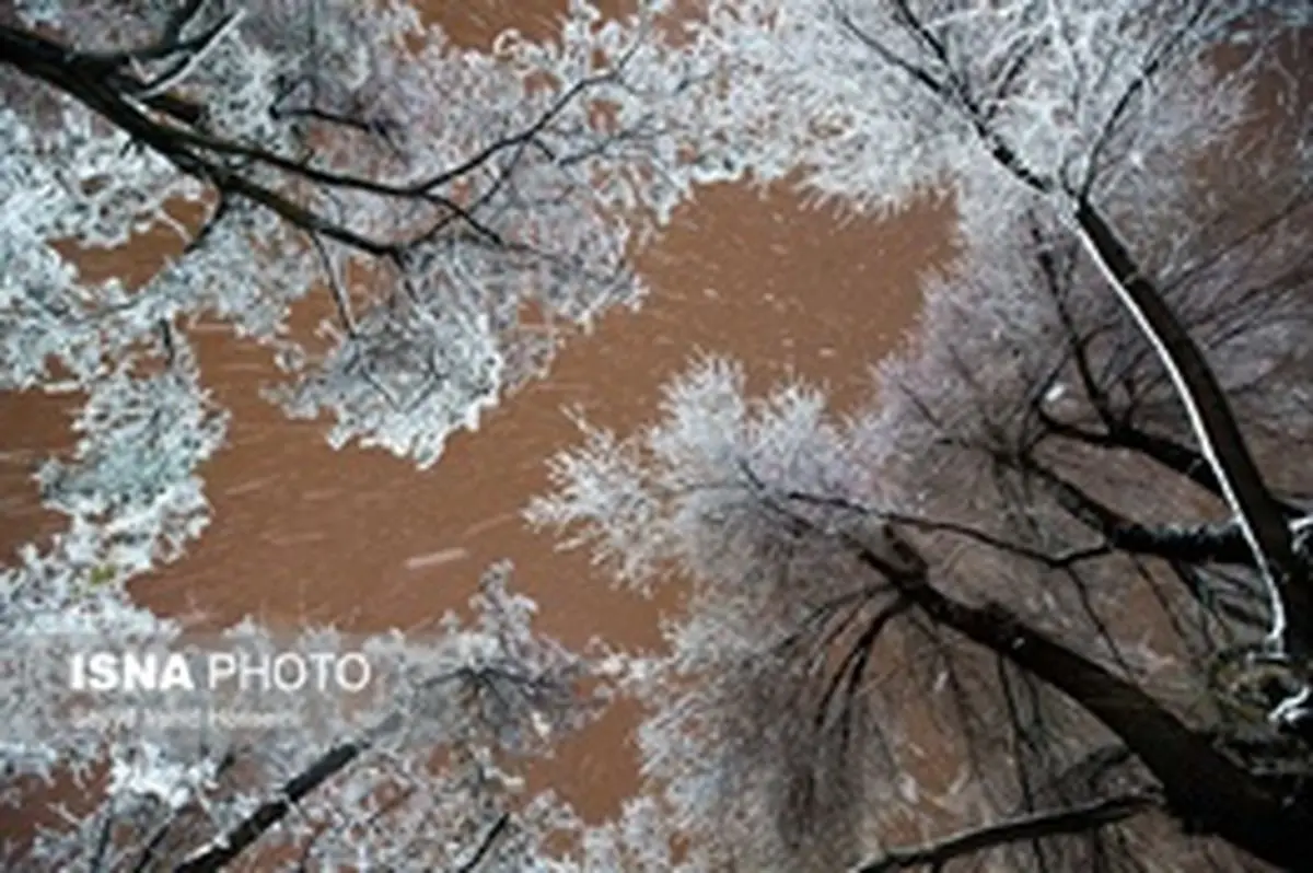 برف 8 استان را سفیدپوش کرد/ وضع اضطراری در جاده‌ها
