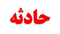 دستگیری زن پرستار به خاطر دزدیدن طلاهای یک پیرزن