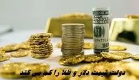 دولت قیمت دلار و طلا را کم می کند !