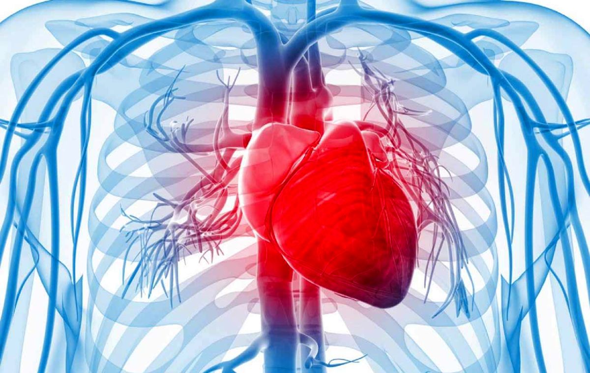 دلیل اینکه قلب ناگهان تپش می گیرد چیست؟